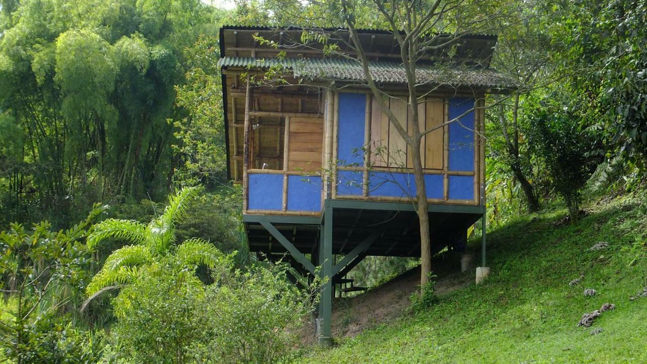 Sonarte Reserva Natural Cordoba  Екстериор снимка